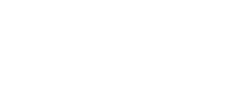 logo -white